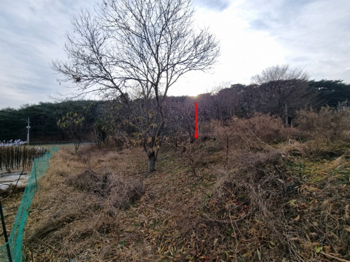 3 (북서측에서 촬영)