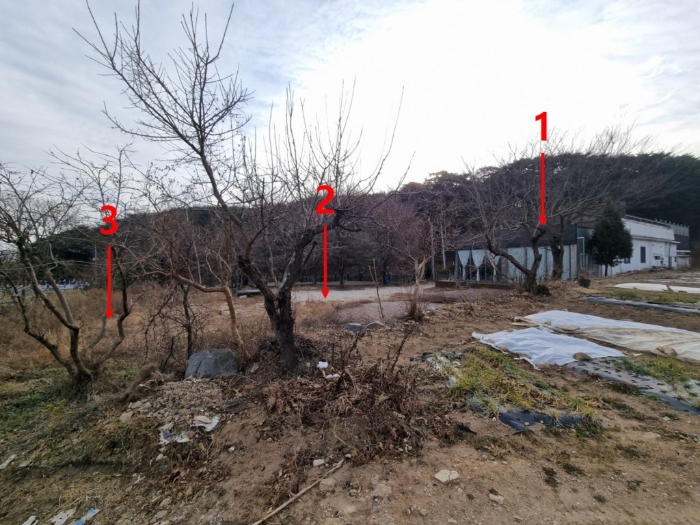 1-3 (북서측에서 촬영)