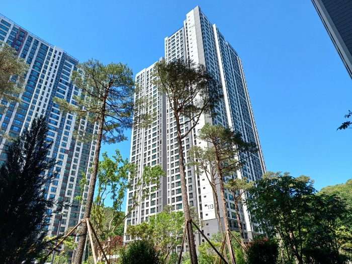 본건 전경