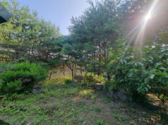 목록3 제시외수목