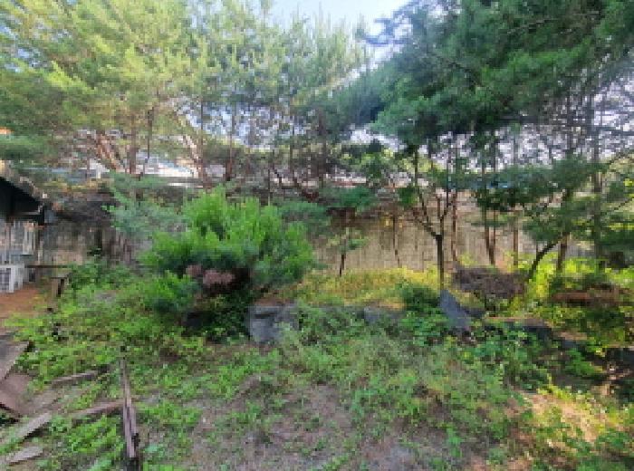 목록3 제시외수목