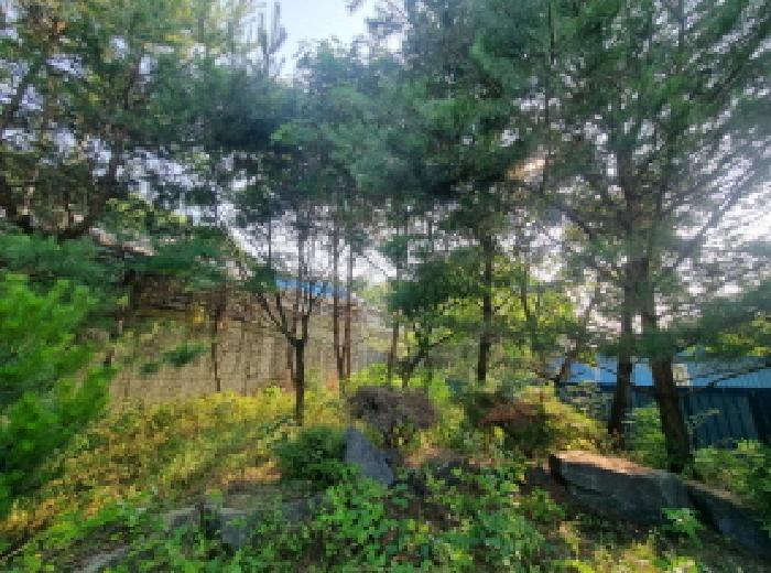 목록3 제시외수목