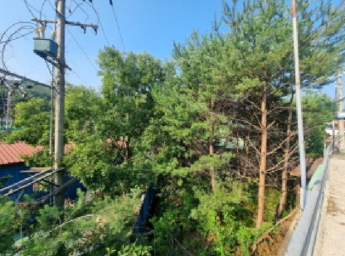 목록3 제시외수목