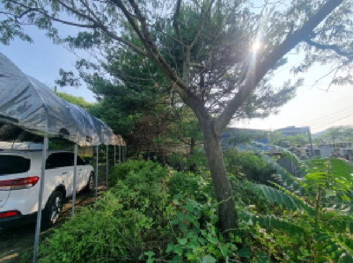 목록3 제시외수목