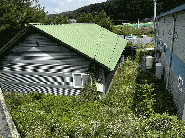 본건 후면 전경