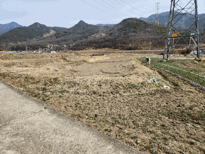 북서측 도로 끝 부근