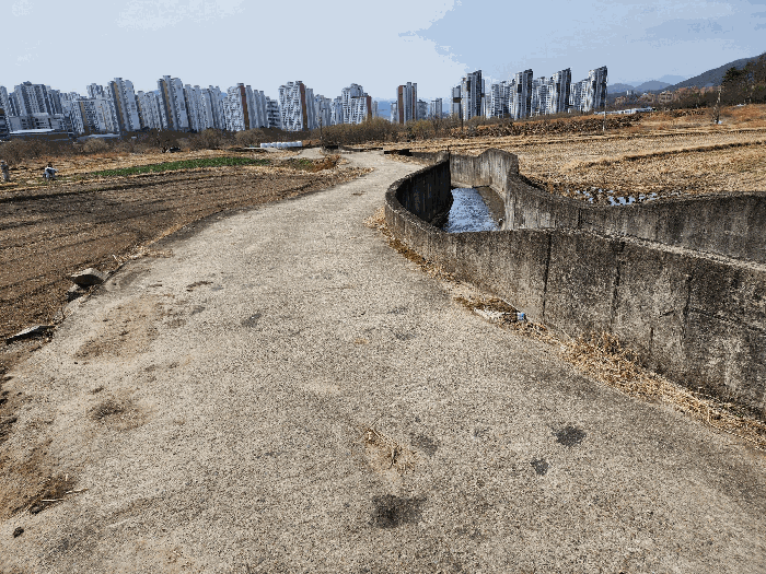 북측 도로 및 수로