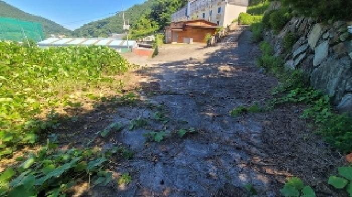 본건1 일부 및 주변