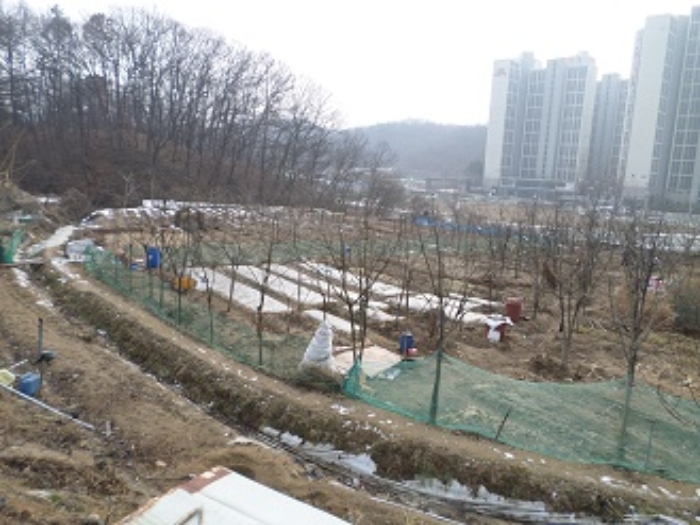 이 사건 토지 일대 (북측에서 촬영)