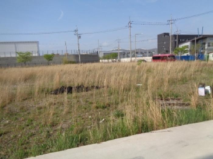 목록2의 지상 전경