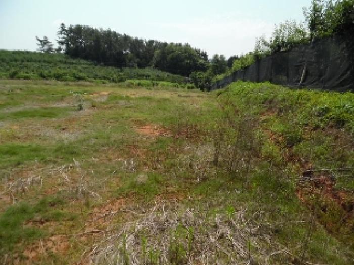 목록3.  토지(전) 전경(2)