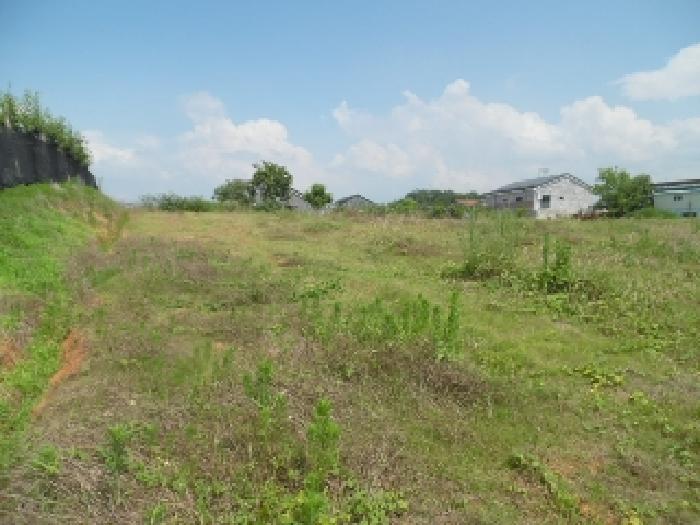 목록3.  토지(전) 전경(3)