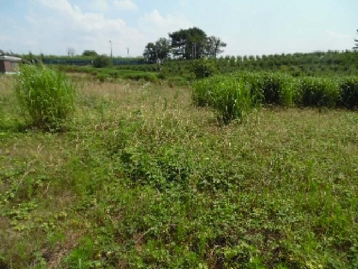 목록3.  토지(전) 전경(4)