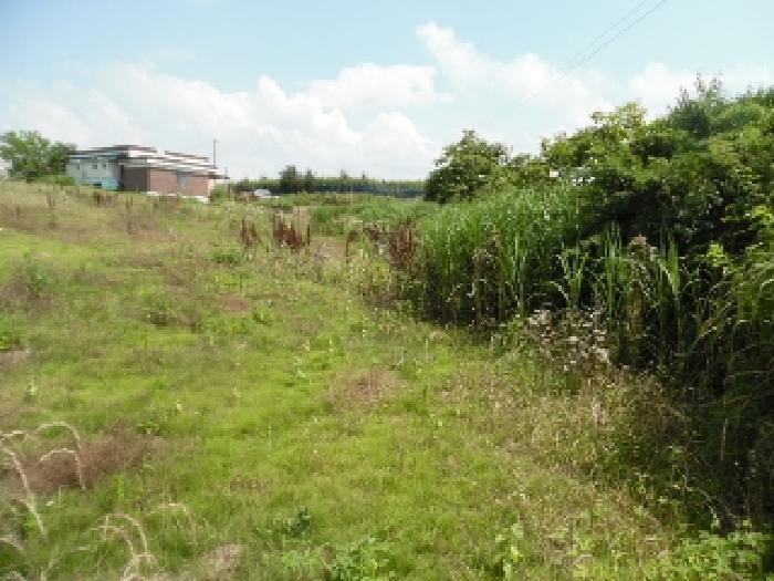 목록3.  토지(전) 전경(5)