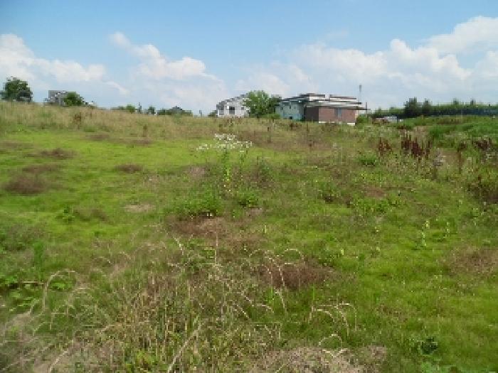 목록3.  토지(전) 전경(6)