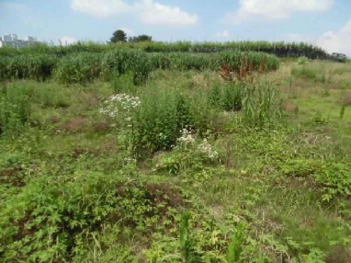 목록3.  토지(전) 전경(7)