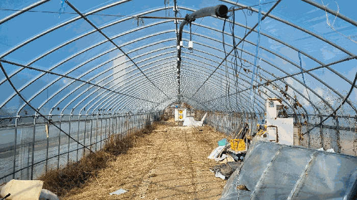 비닐하우스 내부