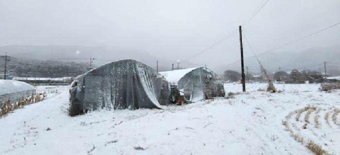 목록2 토지 전경2