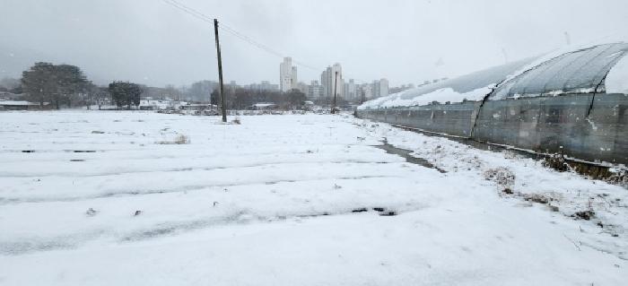 목록2 토지 전경3