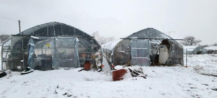 목록2 소재 제시외 비닐하우스 전경1