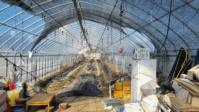 비닐하우스 내부