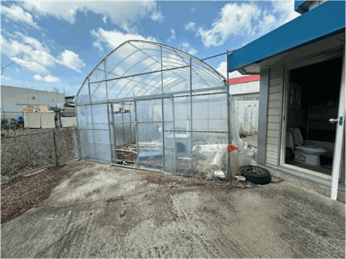 제시외(㉤, 비닐하우스 등) 전경