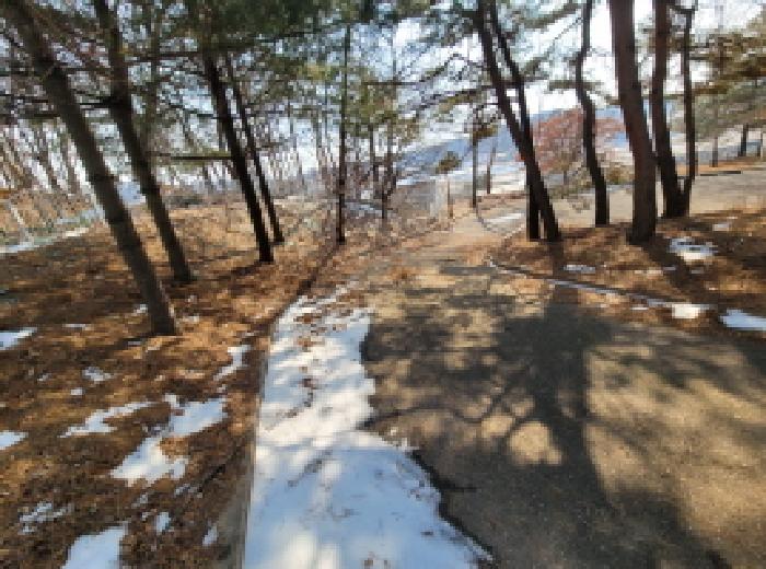 목록 5,6,8. 모습 2