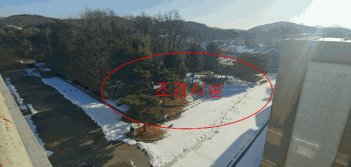 본건 일단의 토지 내부 및 조경시설 전경