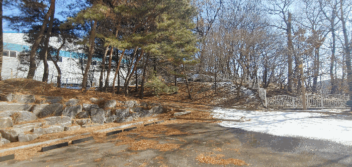 본건 일단의 토지 내부 및 조경시설 전경