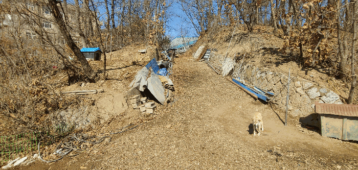 본건 일련번호(6) 도로 전경