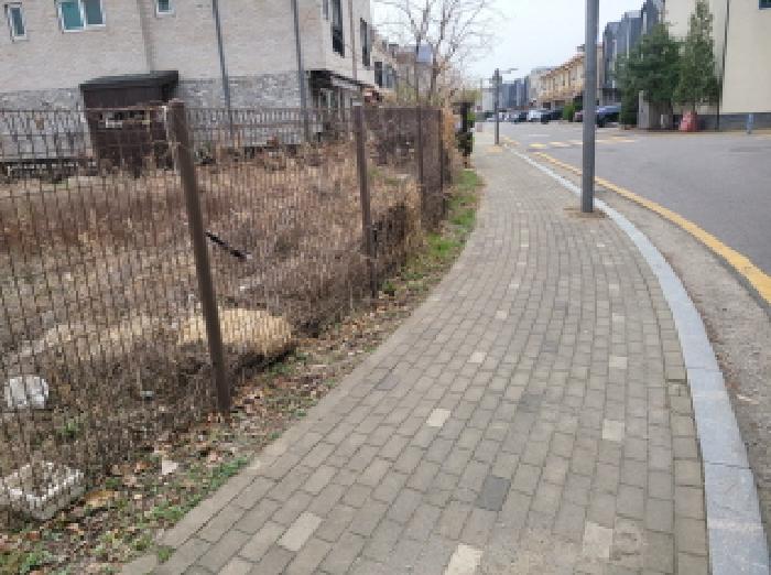 목록 1. 모습 2(경계)