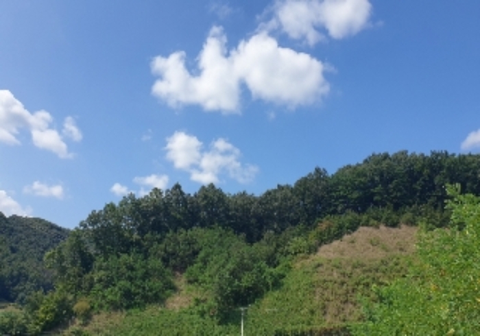 목적물 2번