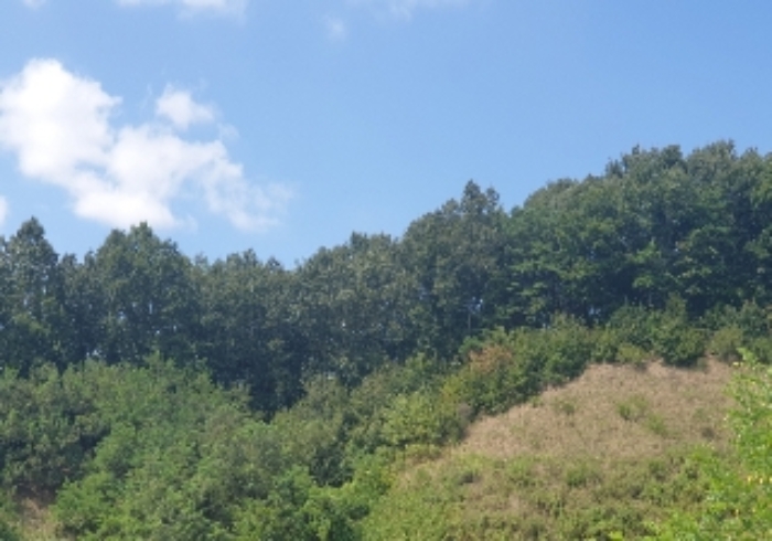 목적물 5번,6번