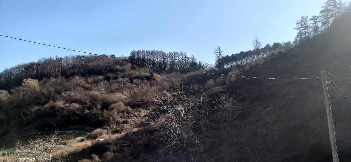 [ 본건  전경 ]