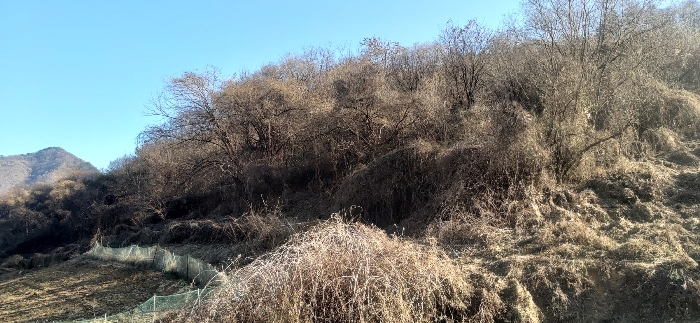 [ 본건(2) 전  경 ]