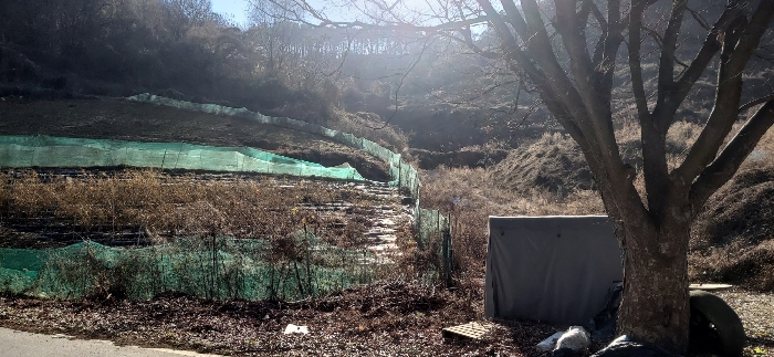 [ 본건(1) 전  경 ]