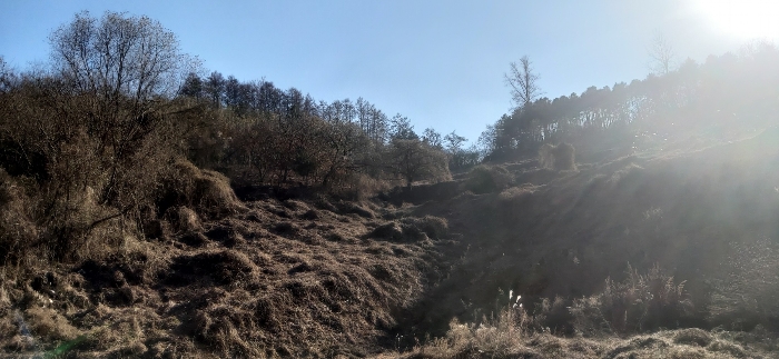 [ 본건(3) 전  경 ]