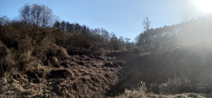 [ 본건(5) 전  경 ]
