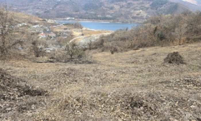 목적물 7번