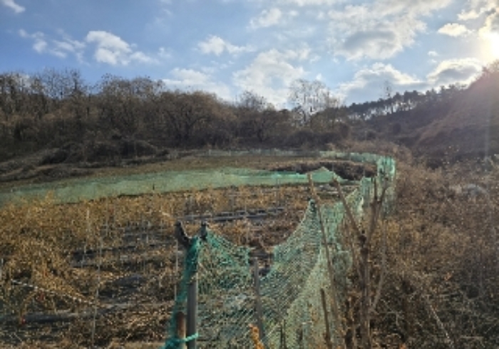목적물 1번