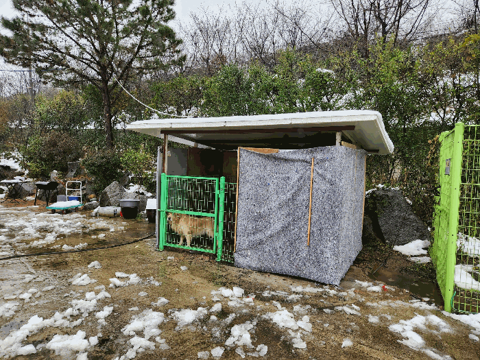 본건 제시외건물 ㉨