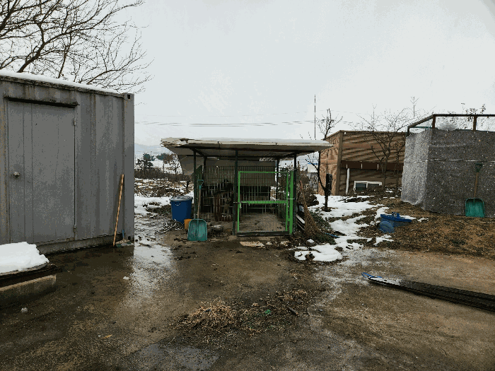 본건 제시외건물 ㉥