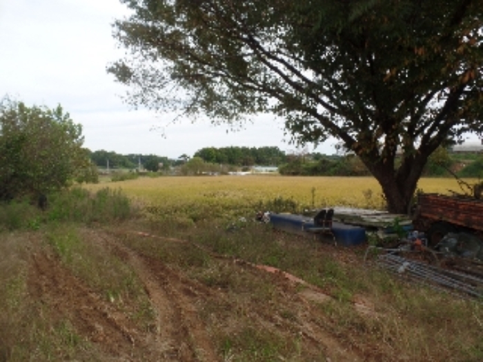 기호 11.~기호 15. 일부 일단지의 `답`