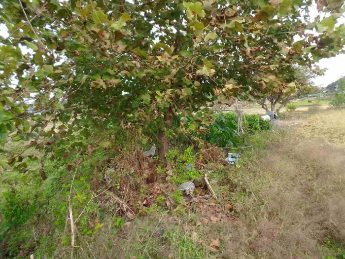 기호 11. 북서측 일부 전 부분