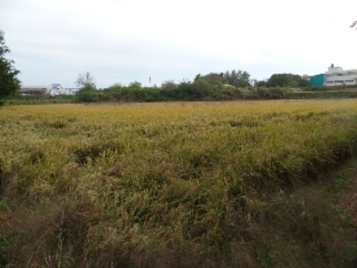 기호 15.일부~기호 18. 일단지의 `답`