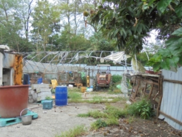 기호(3)지상 제시외건물