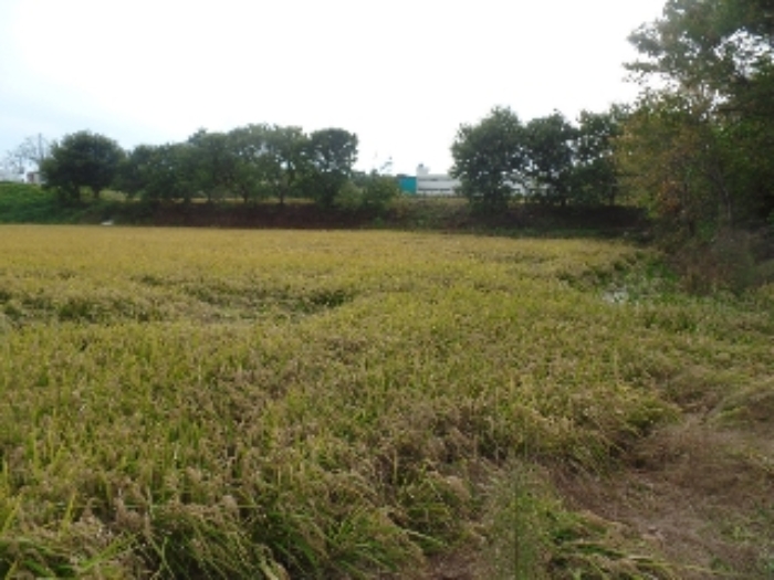 기호 11.~기호 15. 일부 일단지의 `답`