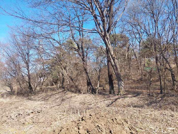 부동산 표시목록 4번, 8번, 9번 토지(임야)