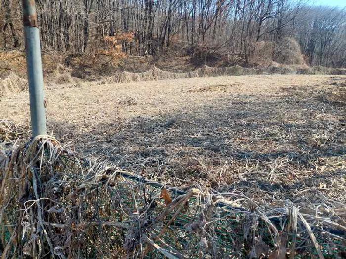 표시목록 2번 토지(전)