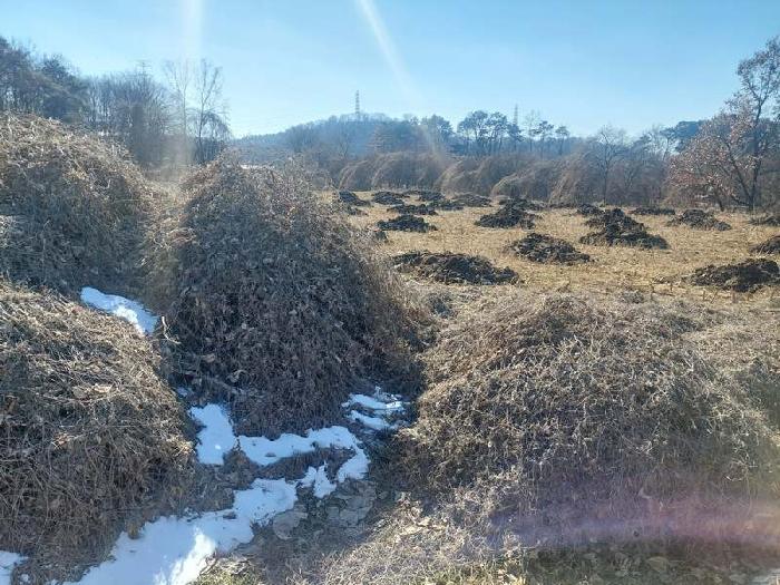 표시목록 1번 토지(전)